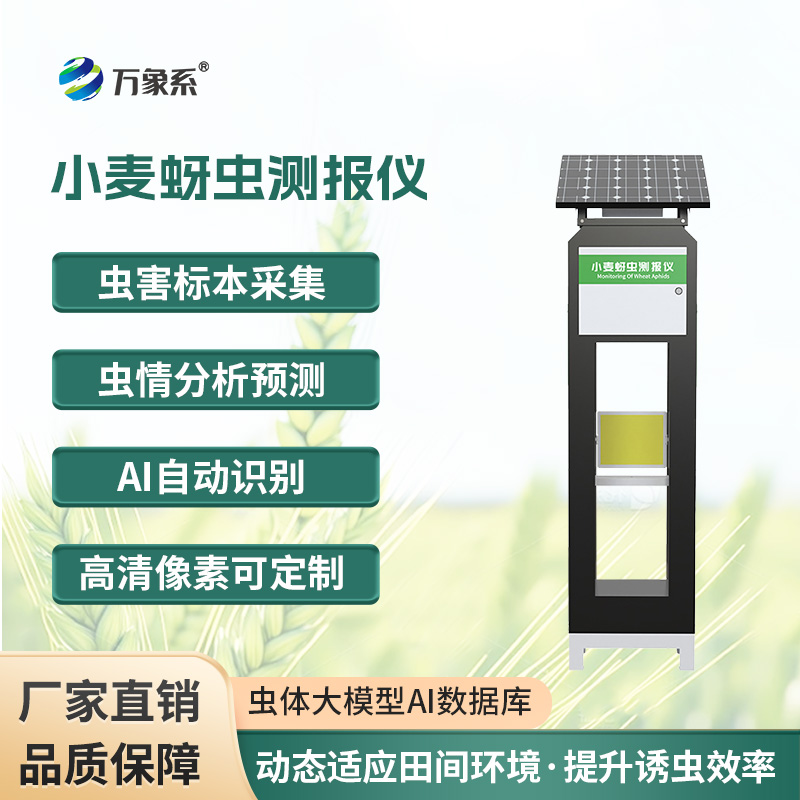 小麥蚜蟲測報儀，保障小麥健康成長的利器之一